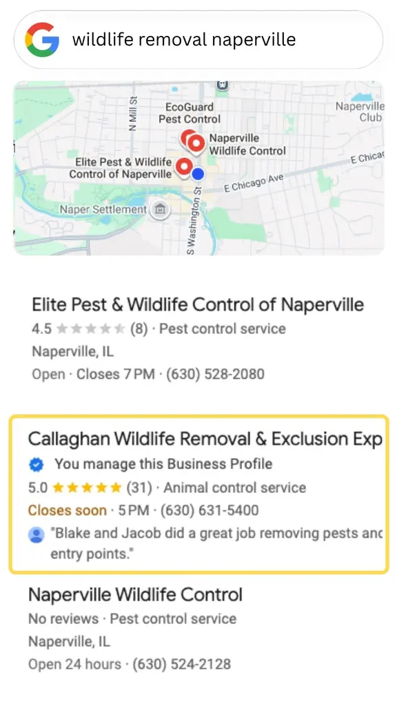 Google search results highlighting Callaghan Wildlife Removal