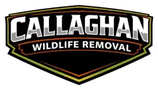 callaghan wildlife removal logo