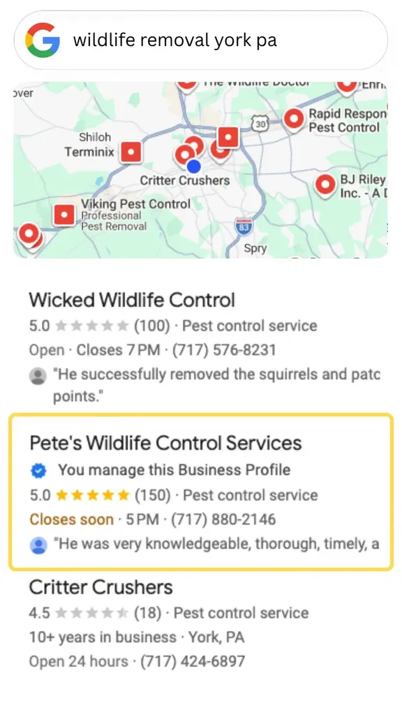 Google search results highlighting Pete’s Wildlife Control Services